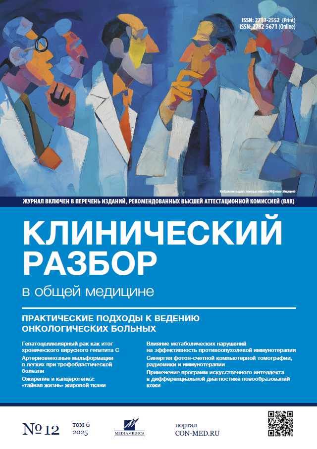 Vol 6, №12 (2025)