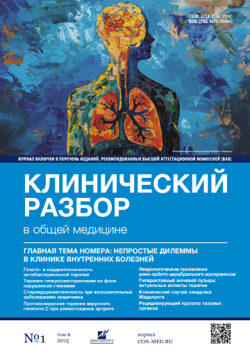 Том 6, №1 (2025)